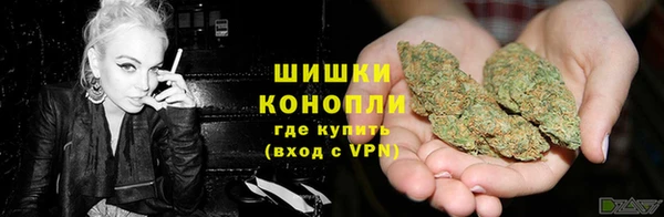 прущие крисы Корсаков