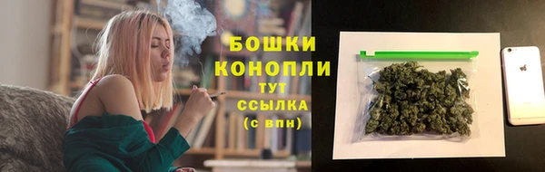 прущие крисы Корсаков