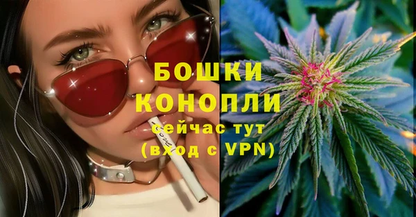 прущие крисы Корсаков