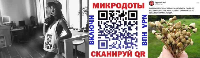 Псилоцибиновые грибы Magic Shrooms  Купить  Еманжелинск 